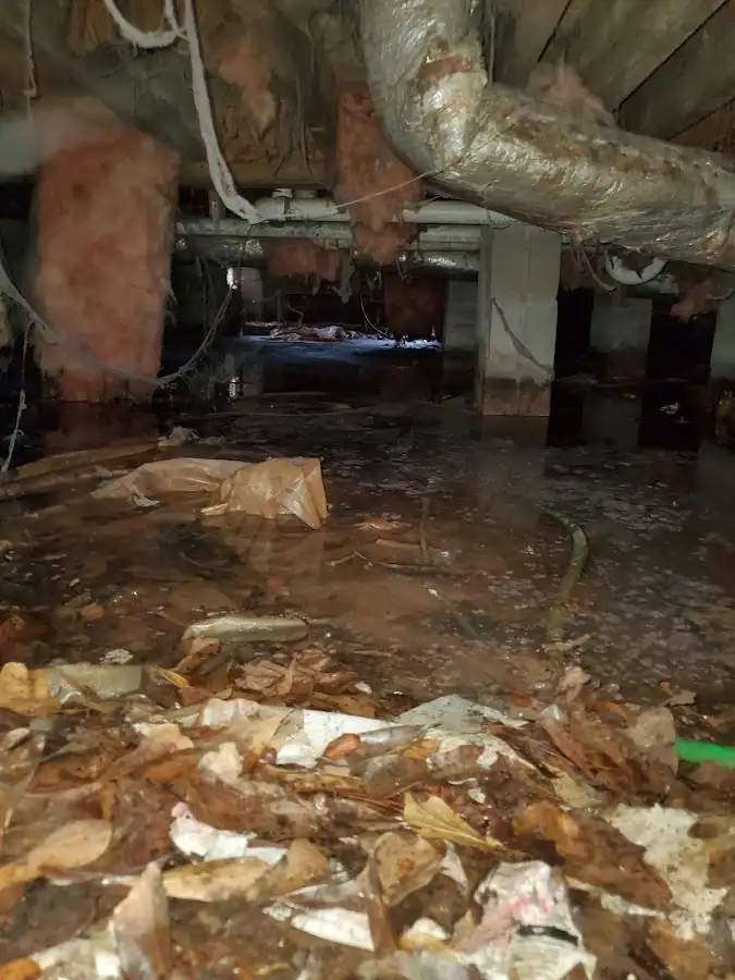 Crawl space flood assessment for Leak Detection & Repair in Napili-Honokowai