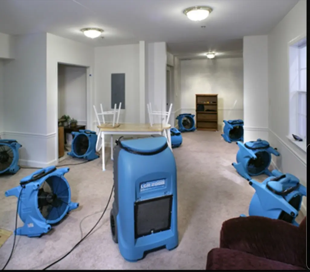 Air movers and dehumidifier setup for Water Extraction & Removal in Napili-Honokowai